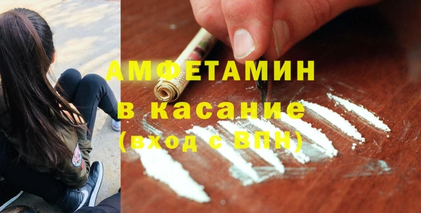твердый Алексеевка